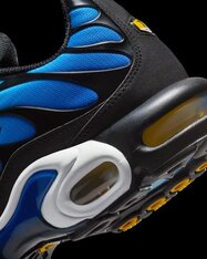 Кроссовки Nike Air Max Plus DX0755-001