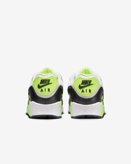 Кроссовки теннисные Nike Air Max 90 GORE-TEX FD5810-102