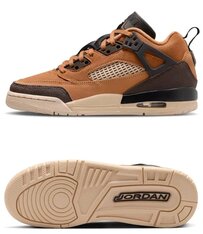 Кросівки дитячі Jordan Spizike Low FQ3950-202
