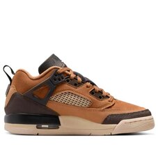 Кросівки дитячі Jordan Spizike Low FQ3950-202