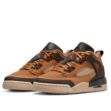 Кросівки дитячі Jordan Spizike Low FQ3950-202