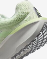 Кросівки бігові жіночі Nike Winflo 11 FJ9510-108