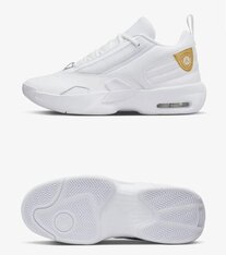 Кросівки жіночі Jordan Max Aura 6 FQ7943-117