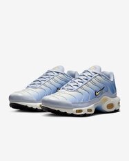 Кроссовки женские Nike Air Max Plus DZ3670-004