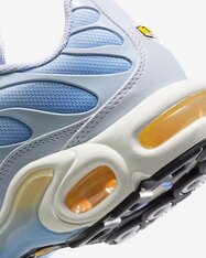 Кроссовки женские Nike Air Max Plus DZ3670-004