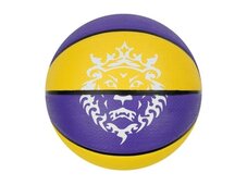 Мяч для баскетбола Nike LeBron Playground 8P N.100.4372.575