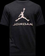Футболка Jordan Sport HQ9091-010