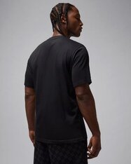 Футболка Jordan Sport HQ9091-010