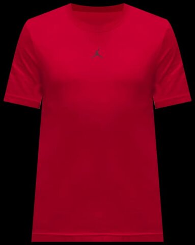 Футболка Jordan Sport FN5829-687