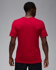 Футболка Jordan Sport FN5829-687