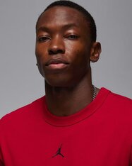 Футболка Jordan Sport FN5829-687