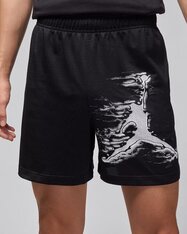 Шорти Jordan Sport HQ8665-010
