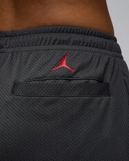 Шорты Jordan Artist Series by Darien Birks HF5474-070