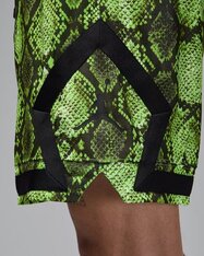 Шорти Jordan Sport HF9907-358