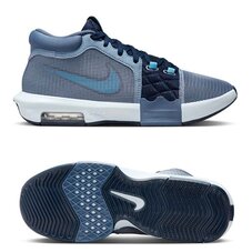 Кросівки для баскетболу Nike Lebron Witness 8 FB2239-400