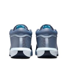 Кросівки для баскетболу Nike Lebron Witness 8 FB2239-400