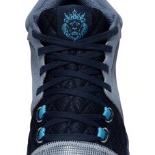 Кросівки для баскетболу Nike Lebron Witness 8 FB2239-400