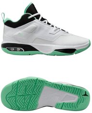 Кросівки для баскетболу Jordan Stay Loyal 3 FB1396-103