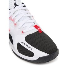 Кросівки для баскетболу Jordan Heir Series FQ3858-106