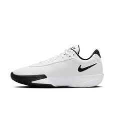 Кросівки для баскетболу Nike G.T. Cut Academy FB2599-100