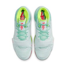 Кроссовки для баскетбола Nike Air Jordan Zion 2 DO9161-367
