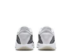 Кроссовки для баскетбола Nike G.T. Hustle Academy FJ7791-100