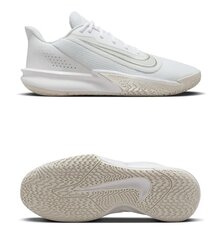 Кросівки для баскетболу Nike Precision 7 FN4322-100