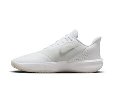 Кросівки для баскетболу Nike Precision 7 FN4322-100