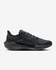 Кросівки бігові Nike Pegasus 41 GORE-TEX FQ1356-001