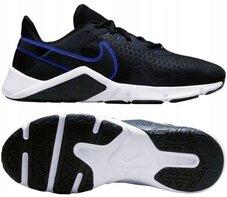 Кросівки бігові Nike Legend Essential 2 Royal CQ9356-403