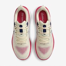 Кроссовки беговые Nike Vomero 17 FB1309-003