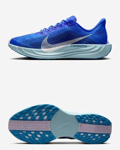 Кросівки бігові Nike Pegasus Plus HQ1719-400