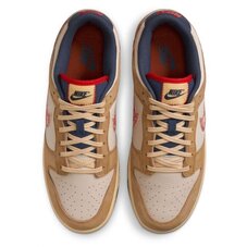 Кросівки Nike Dunk Low Retro Se HQ3640-790