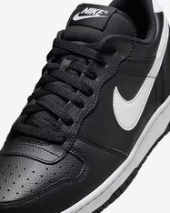 Кросівки Nike Big Low 355152-016
