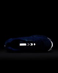 Кросівки Nike Air Max TL 2.5 HM8818-400