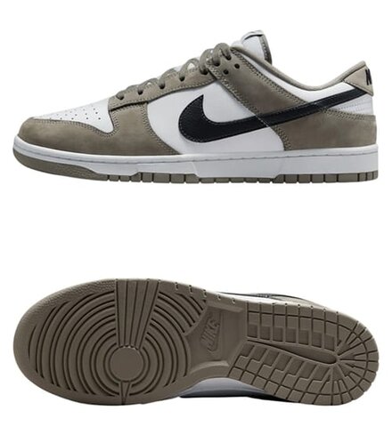 Кросівки Nike Dunk Low IB3079-300