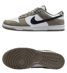 Кросівки Nike Dunk Low IB3079-300