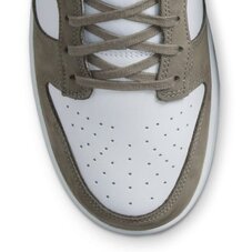 Кросівки Nike Dunk Low IB3079-300