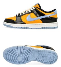 Кросівки Nike Dunk Low Retro SE IB6400-001