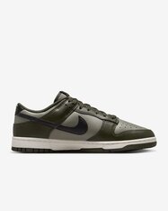 Кросівки Nike Dunk Low Retro HF5441-300