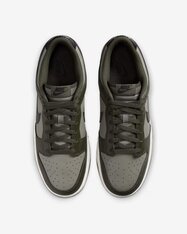 Кросівки Nike Dunk Low Retro HF5441-300