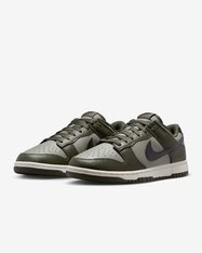 Кросівки Nike Dunk Low Retro HF5441-300