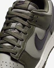 Кросівки Nike Dunk Low Retro HF5441-300