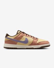 Кросівки Nike Dunk Low Retro SE HF3141-200