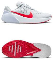 Кросівки Nike Air Zoom Tr 1 DX9016-004