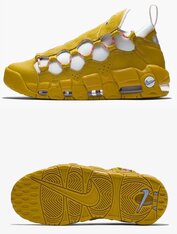 Кросівки жіночі Nike Air More Money AO1749-300