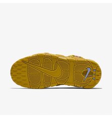 Кросівки жіночі Nike Air More Money AO1749-300