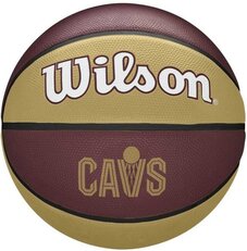 Мяч для баскетбола Wilson NBA Team Tribute WZ4011601XB7