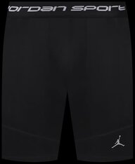 Шорты Jordan Sport FV8618-010