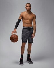 Шорты Jordan Sport FV8618-010